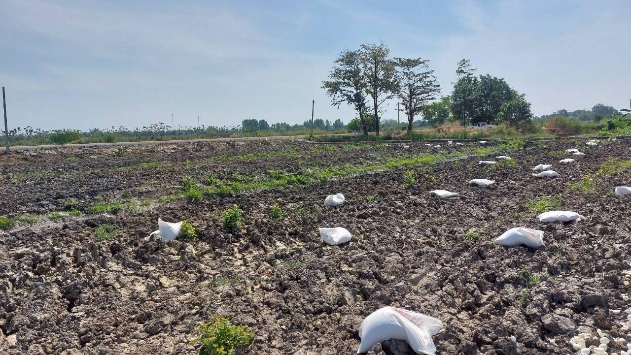 title - ส.ป.ก.พระนครศรีอยุธยา ติดตามเกษตรกรตามโครงการพัฒนาเกษตรกรปราดเปรื่อง (Smart Farmer) ปีงยประมาณ พ.ศ.๒๕๖๙