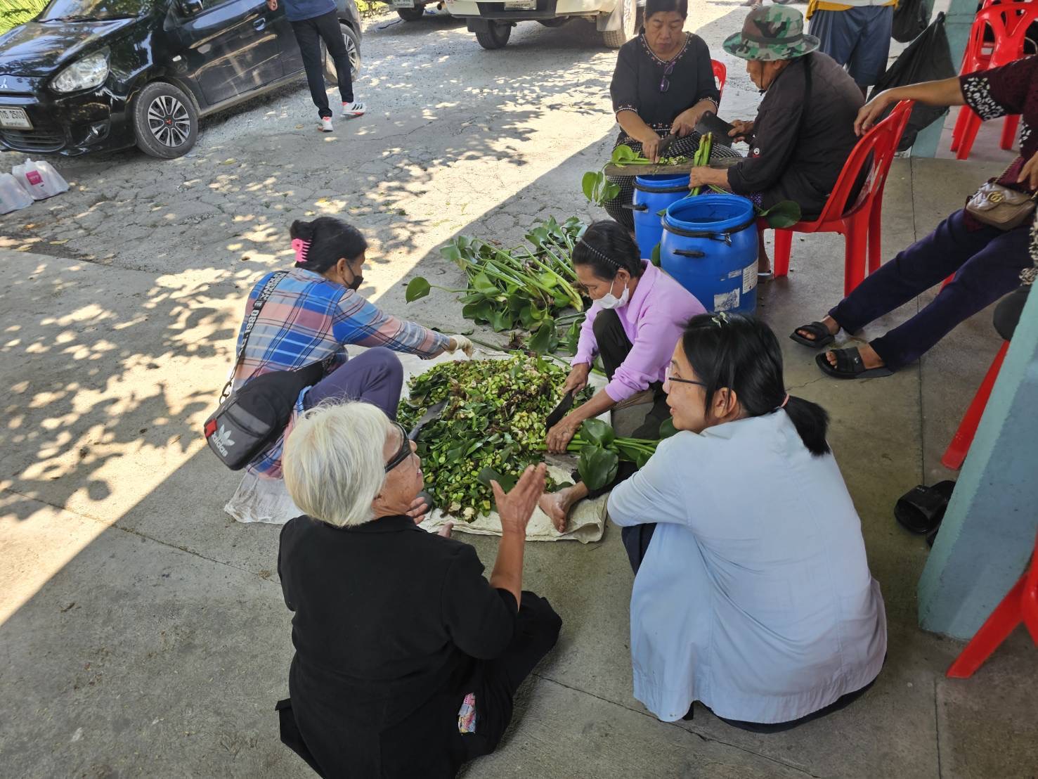 title - ส.ป.ก.พระนครศรีอยุธยา จัดอบรม โครงการที่ดินพระราชทานจังหวัดพระนครศรีอยุธยา ปีงบประมาณ พ.ศ. 2569 หลักสูตร การเพิ่มศักยภาพการผลิตและลดต้นทุนการผลิต