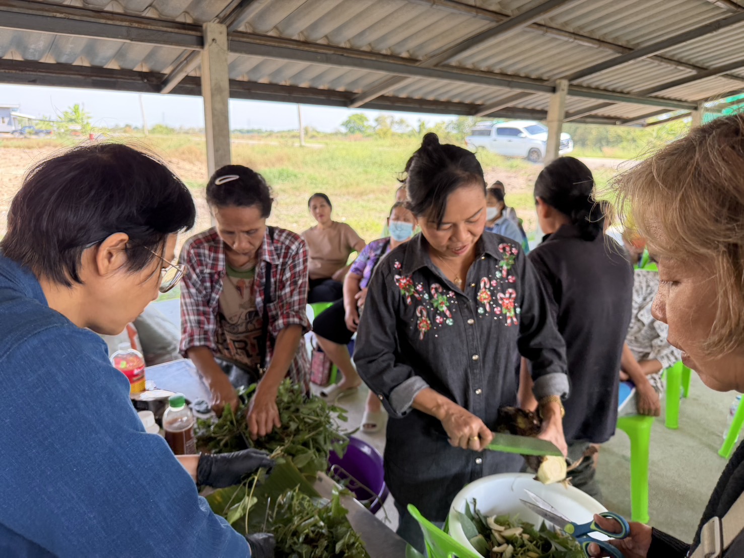 title - ส.ป.ก.พระนครศรีอยุธยา จัดฝึกอบรมเกษตรกรภายใต้โครงการระบบส่งเสริมเกษตรแบบแปลงใหญ่ กิจกรรมส่งเสริมการเกษตรแบบแปลงใหญ่ในเขตปฏิรูปที่ดิน ปีงบประมาณ พ.ศ. ๒๕๖๙ หลักสูตรที่ ๒ ลดต้นทุนและเพิ่มผลผลิตพืชผักปลอดภัย GAP และการบริหารจัดการที่ดินให้เกิดประโยชน์สูงสุด