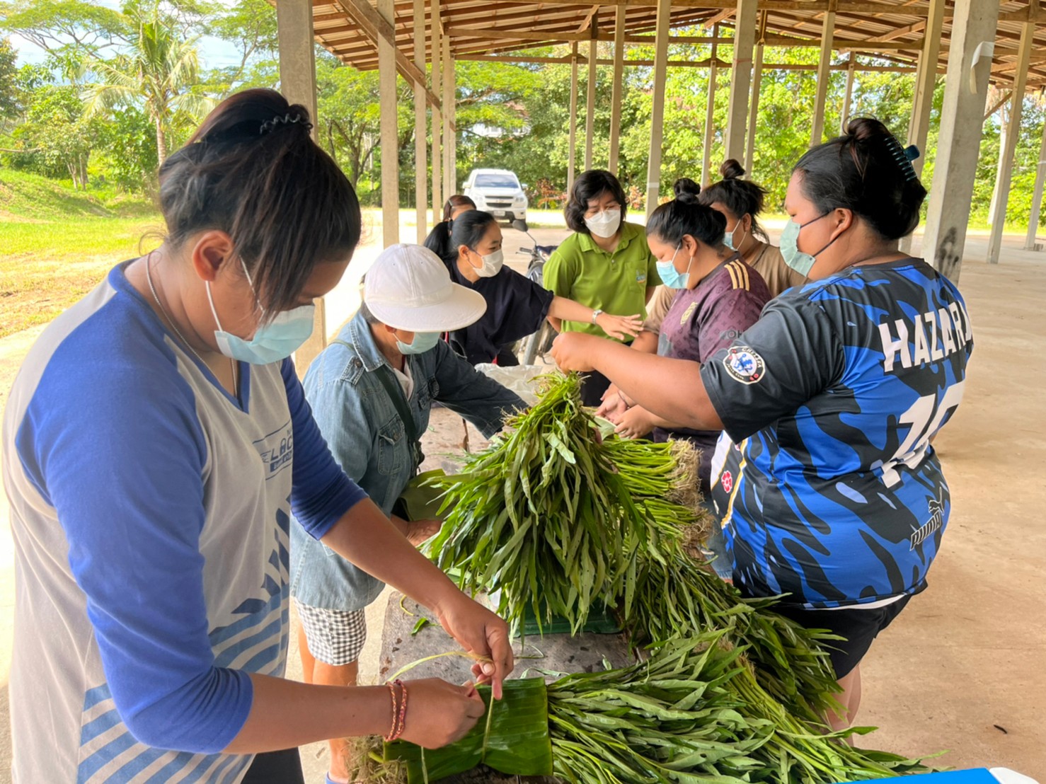 โครงการระบบส่งเสริมเกษตรแบบแปลงใหญ่พืชผักแปลง No.83