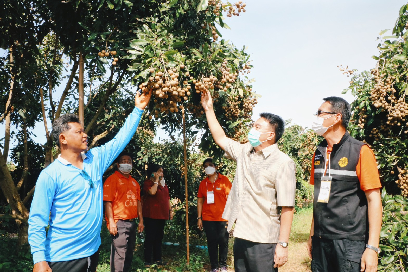 ผู้ตรวจราชการ ส.ป.ก. ลงพื้นที่พบปะให้กำลังใจเกษตรกร จ.บุรีรัมย์