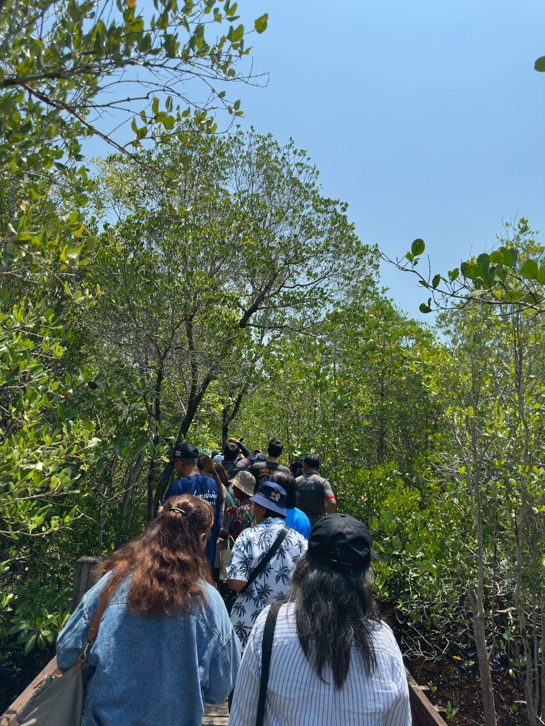 title - ส.ป.ก.พระนครศรีอยุธยา จัดการศึกษาดูงานโครงการที่ดินพระราชทานจังหวัดพระนครศรีอยุธยา ปีงบประมาณ พ.ศ. ๒๕๖๙ หลักสูตร การศึกษาดูงานการพัฒนาตามแนวทางพระราชดำริ ณ ศูนย์ศึกษาการพัฒนาอ่าวคุ้งกระเบน อันเนื่องมาจากพระราชดำริ จังหวัดจันทบุรี