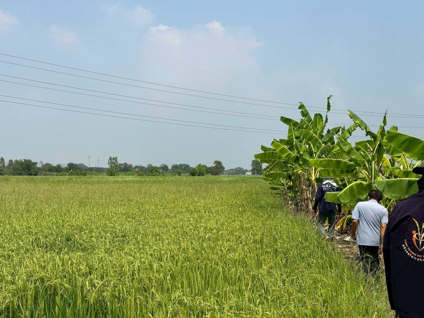 title - ส.ป.ก.พระนครศรีอยุธยา ดำเนินการตรวจสภาพแปลงที่ดินและเจรจาต่อรองราคาที่ดินเพื่อการปฏิรูปที่ดินเพื่อเกษตรกรรมจังหวัดพระนครศรีอยุธยา โครงการจัดที่ดินเพื่อเกษตรกรรม กิจกรรมบริหารที่ดินเอกชน ประจำปีงบประมาณ พ.ศ. ๒๕๖๙  