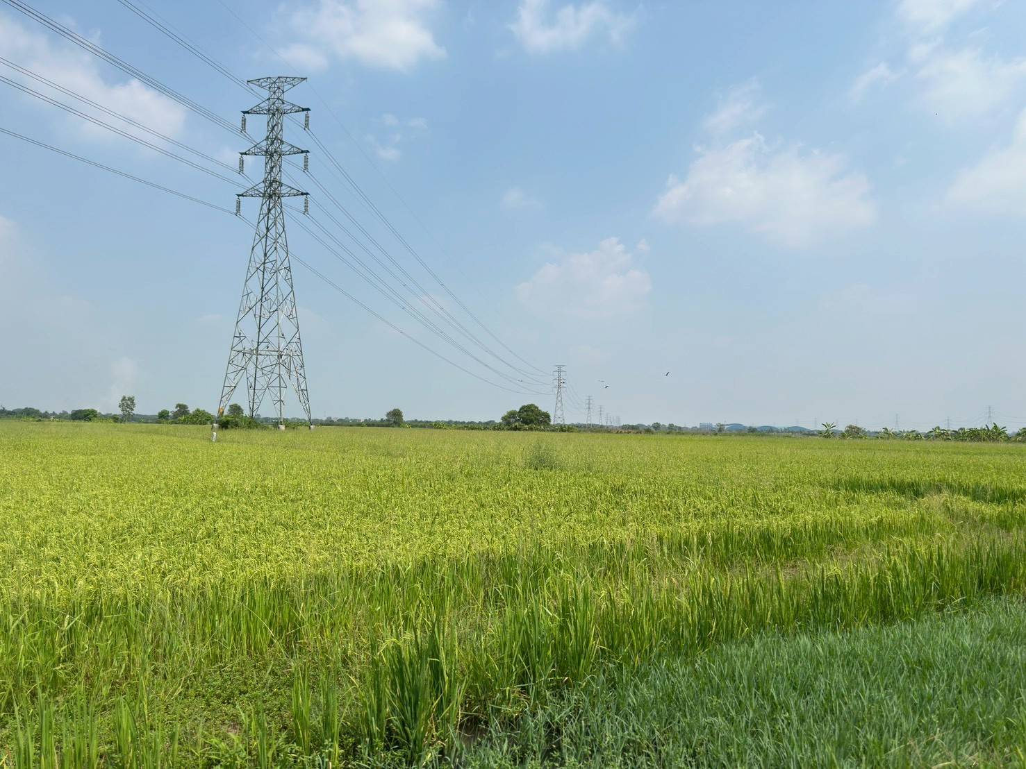 title - ส.ป.ก.พระนครศรีอยุธยา ดำเนินการตรวจสภาพแปลงที่ดินและเจรจาต่อรองราคาที่ดินเพื่อการปฏิรูปที่ดินเพื่อเกษตรกรรมจังหวัดพระนครศรีอยุธยา โครงการจัดที่ดินเพื่อเกษตรกรรม กิจกรรมบริหารที่ดินเอกชน ประจำปีงบประมาณ พ.ศ. ๒๕๖๙  