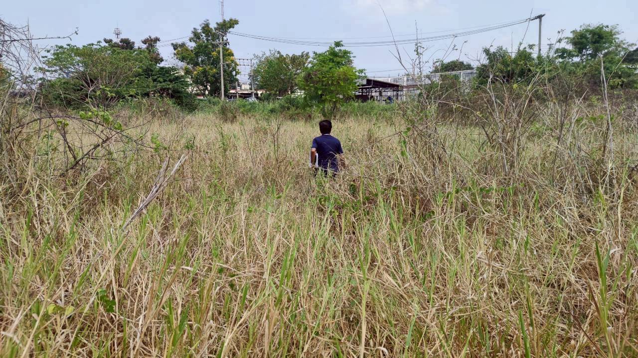 title - ปฏิรูปที่ดินจังหวัดพระนครศรีอยุธยา มอบหมายให้กลุ่มงานช่างและแผนที่ ร่วมกับกลุ่มกฎหมาย ลงพื้นที่รังวัดการขออนุญาตใช้ที่ดินเพื่อกิจการสาธารณูปโภคของสำนักงานคุมประพฤติจังหวัดพระนครศรีอยุธยา เพื่อจัดทำข้อมูลตำแหน่งแปลงประกอบการขออนุญาต บริเวณพื้นที่เขตฏิรูปที่ดิน ต.หันตรา อ.พระนครศรีอยุธยา จ.พระนครศรีอยุธยา