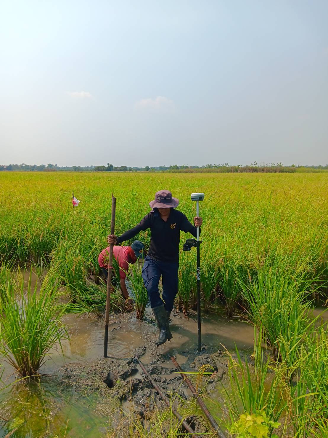 title - ส.ป.ก.พระนครศรีอยุธยา ลงพื้นที่รังวัดกรณีพิพาททางเข้า-ออกแปลงของเกษตรกร บริเวณพื้นที่เขตปฏิรูปที่ดิน ต.ข้าวเม่า อ.อุทัย จ.พระนครศรีอยุธยา