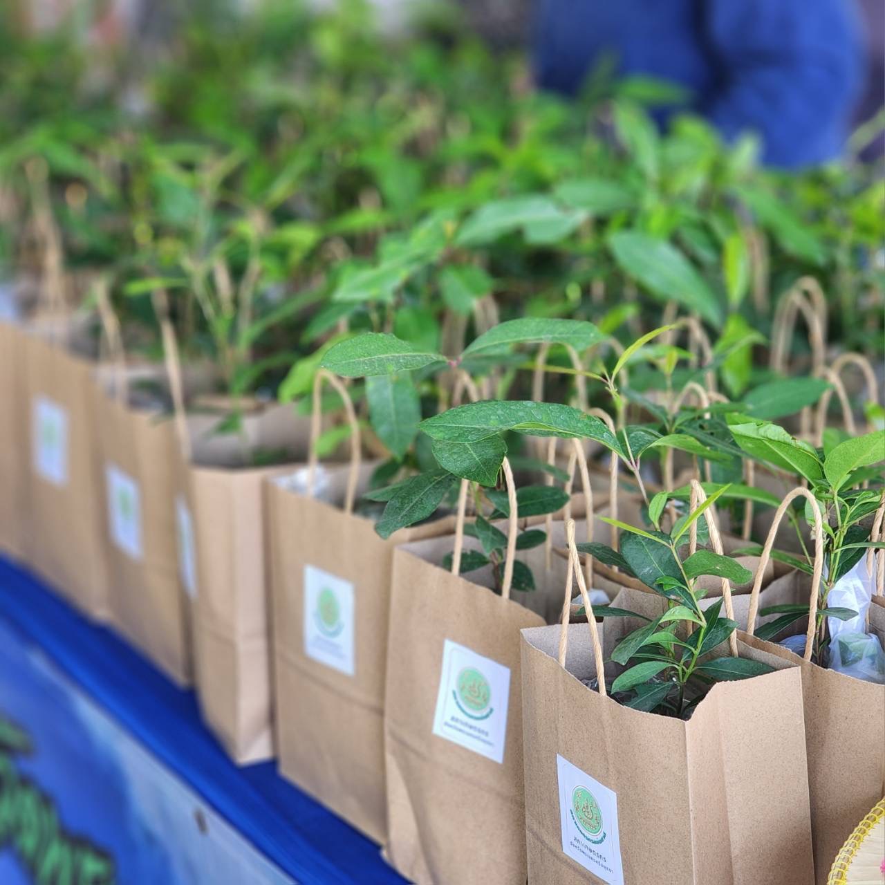 title - ส.ป.ก.พระนครศรีอยุธยา เข้าร่วมพิธีการโครงการปลูกข้าวเฉลิมพระเกียรติ พระบาทสมเด็จพระเจ้าอยู่หัวฯ เนื่องในโอกาสมหามงคลเฉลิมพระชนมพรรษา ๗๔ พรรษา ๒๘ กรกฎาคม ๒๕๖๙