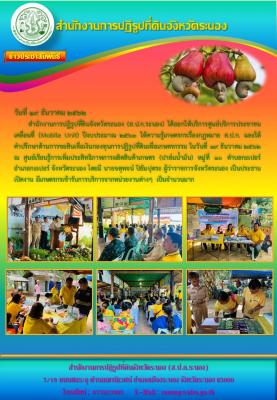 โครงการคลินิกเกษตรเคลื่อนที่ ปีงบประมาณ 2563 