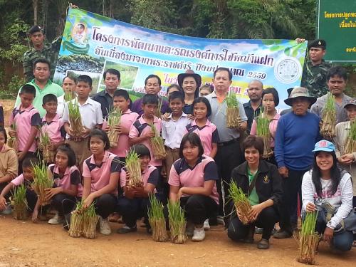 ส.ป.ก.ระนอง จัดโครงการพัฒนาและรณรงค์การใช้หญ้าแฝกอันเนื่องมาจากพระราชดำริ ประจำปีงบประมาณ 2559