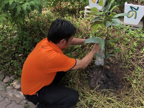 วันรักต้นไม้ประจำปีของชาติ พ.ศ.2561