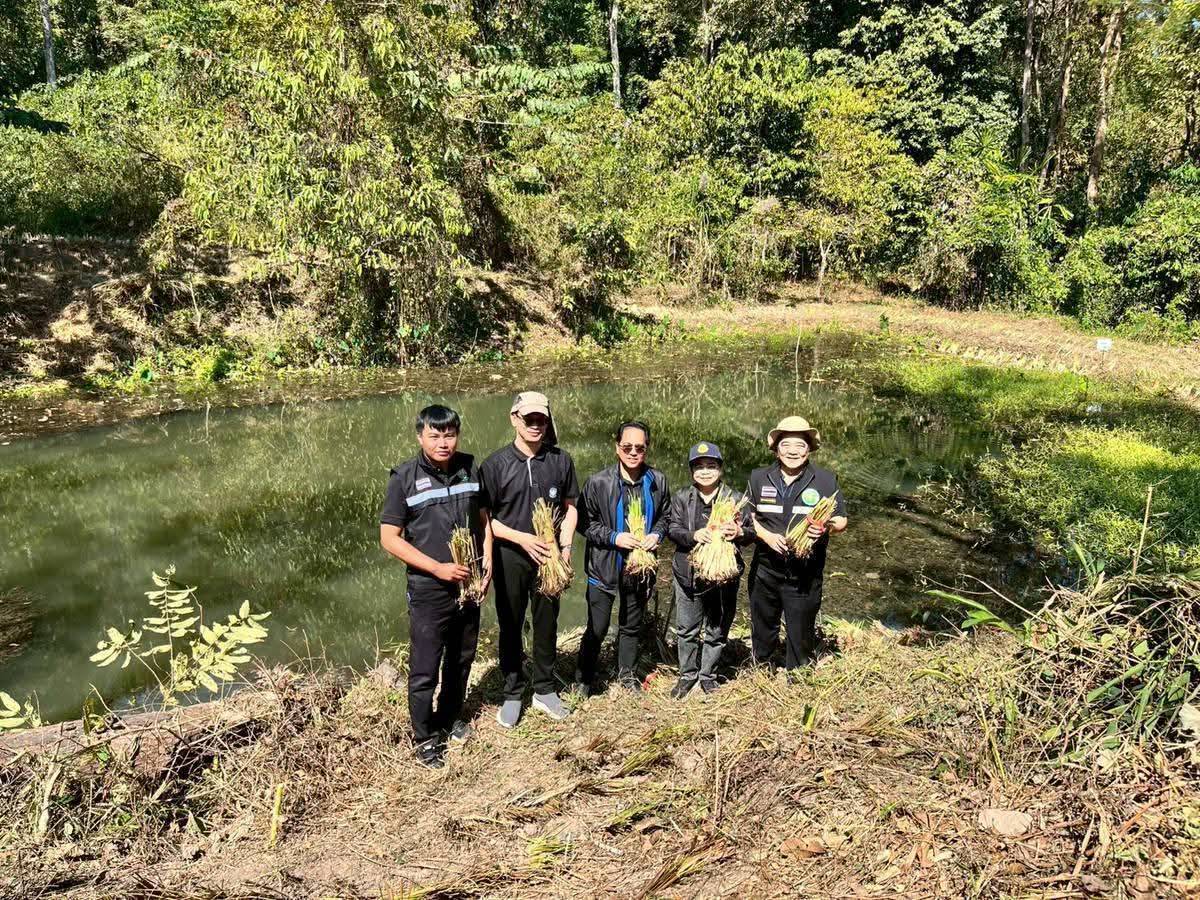 title - พิธีเปิดงานและลงพื้นที่ดำเนินงานโครงการเสริมโป่งช้างและปลูกพืซอาหารช้างและสัตว์ป่าเพื่อขับเคลื่อนโครงการพัชรสุธาคชานุรักษ์ จังหวัดระยอง