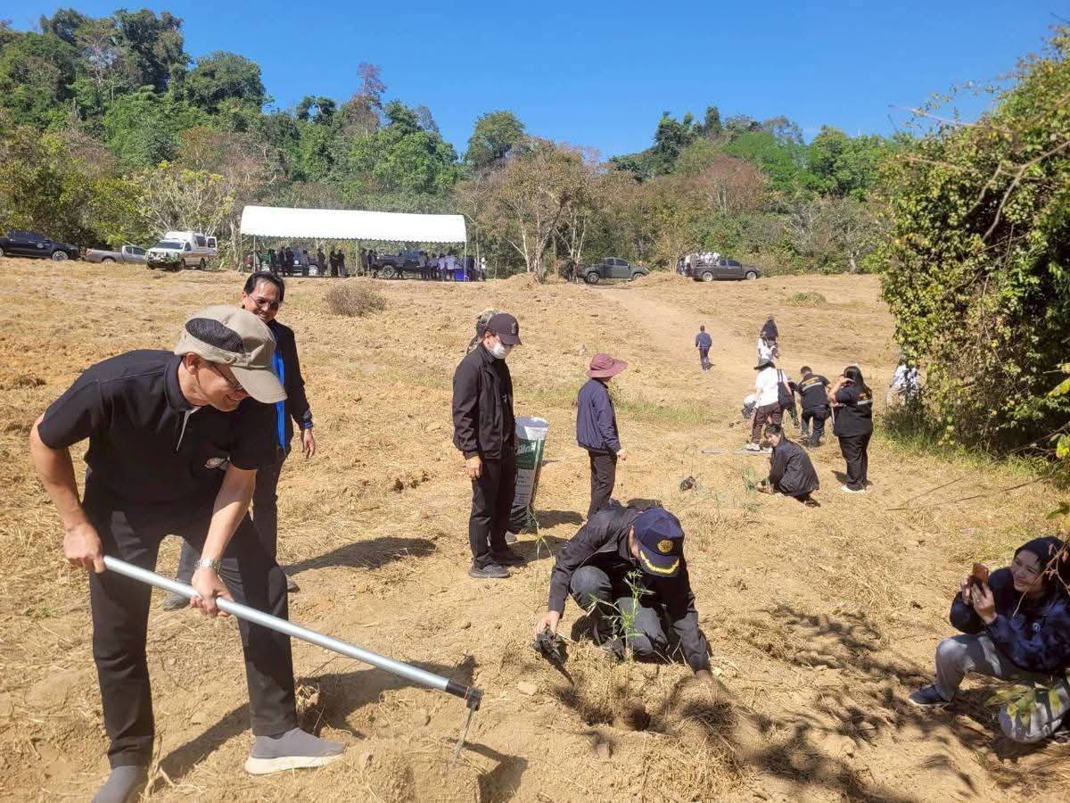title - พิธีเปิดงานและลงพื้นที่ดำเนินงานโครงการเสริมโป่งช้างและปลูกพืซอาหารช้างและสัตว์ป่าเพื่อขับเคลื่อนโครงการพัชรสุธาคชานุรักษ์ จังหวัดระยอง