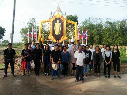 เกษตรกรในนิคมเศรษฐกิจพอเพียงร่วมกับ ส.ป.ก. ระยอง  ปลูกต้นทานตะวันเพื่อน้อมรำลึกถึงพระบาทสมเด็จพระปรมินทรมหาภูมิพลอดุลยเดช