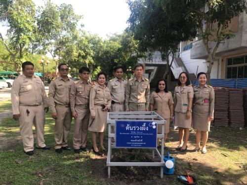 สำนักงานการปฏิรูปที่ดินจังหวัดระยอง ร่วมกิจกรรม โครงการ วันรักต้นไม้ประจำปีของชาติ พ.ศ.2562
