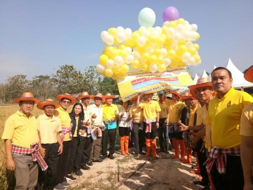 สำนักงานการปฏิรูปที่ดินจังหวัดระยอง ร่วมกิจกรรมเกี่ยวข้าวในแปลงนาภายในศูนย์บริการพัฒนาปลวกแดงตามพระราชดำริ จังหวัดระยอง
