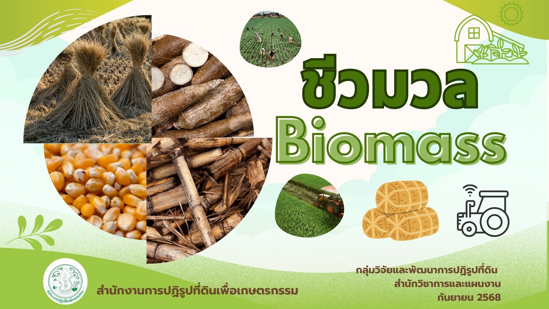 องค์ความรู้ชีวมวล (Biomass)