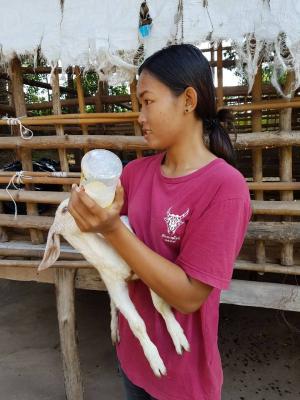 [VTR] November 2020, No.2: ASEAN Young Farmer Leaders Training Program (JAEC).