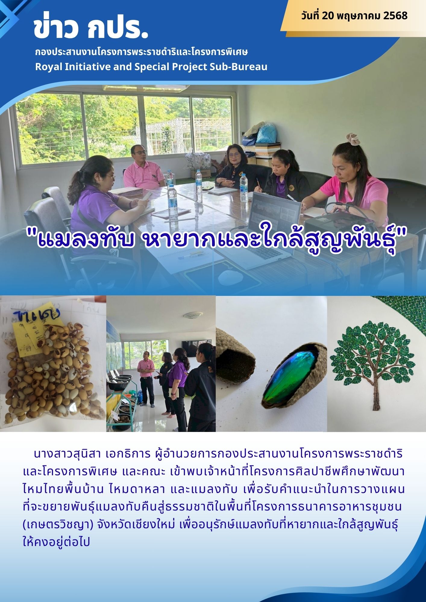 แมลงทับ หายากและใกล้สูญพันธุ์