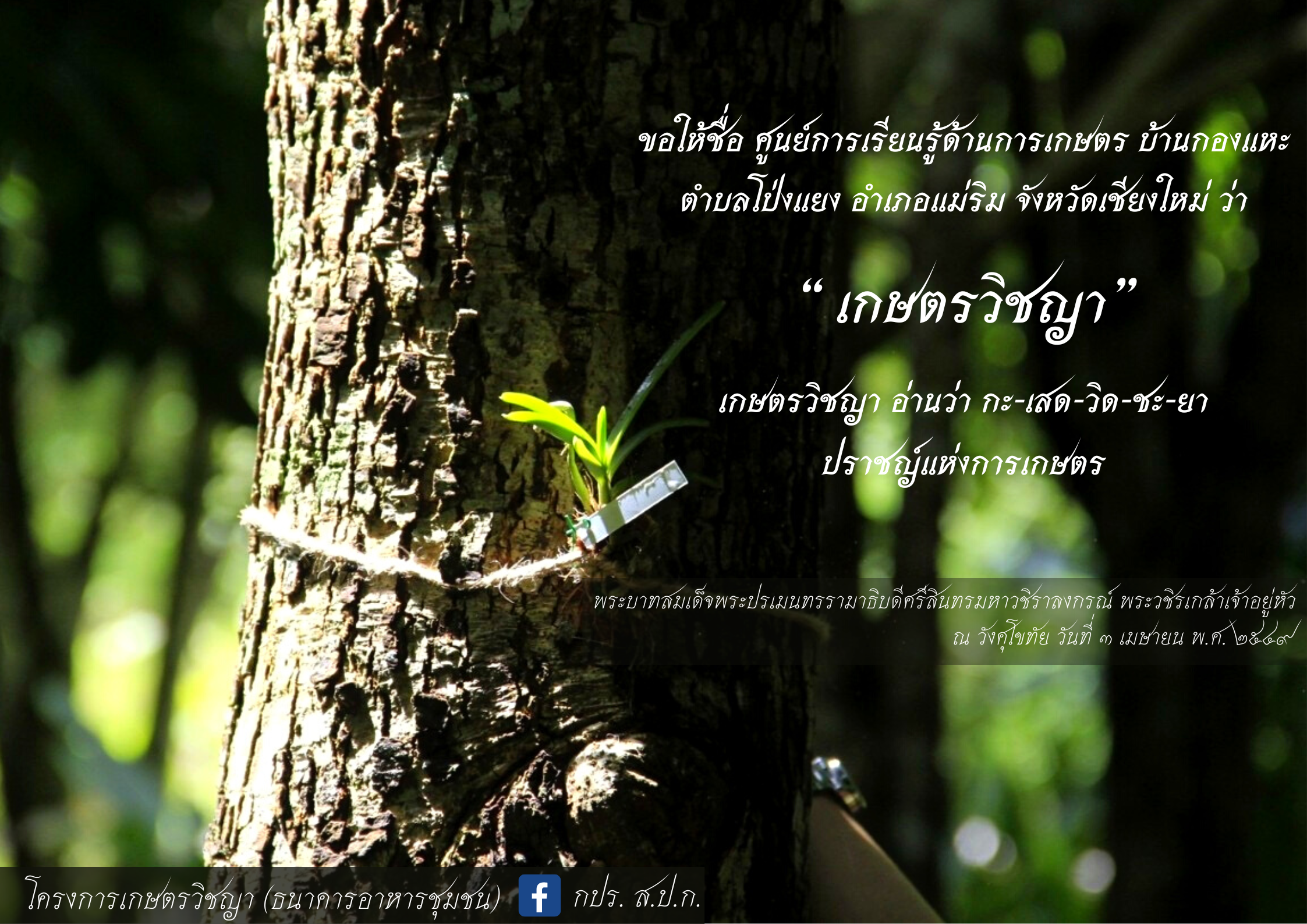 พระราชดำรัสโครงการเกษตรวิชญา (ธนาคารอาหารชุมชน)