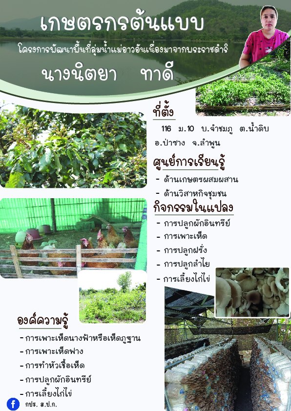 นางนิตยา ทาดี เกษตรกรต้นแบบโครงการพัฒนาพื้นที่ลุ่มแม่น้ำแม่อาวอันเนื่องมาจากพระราชดำริ