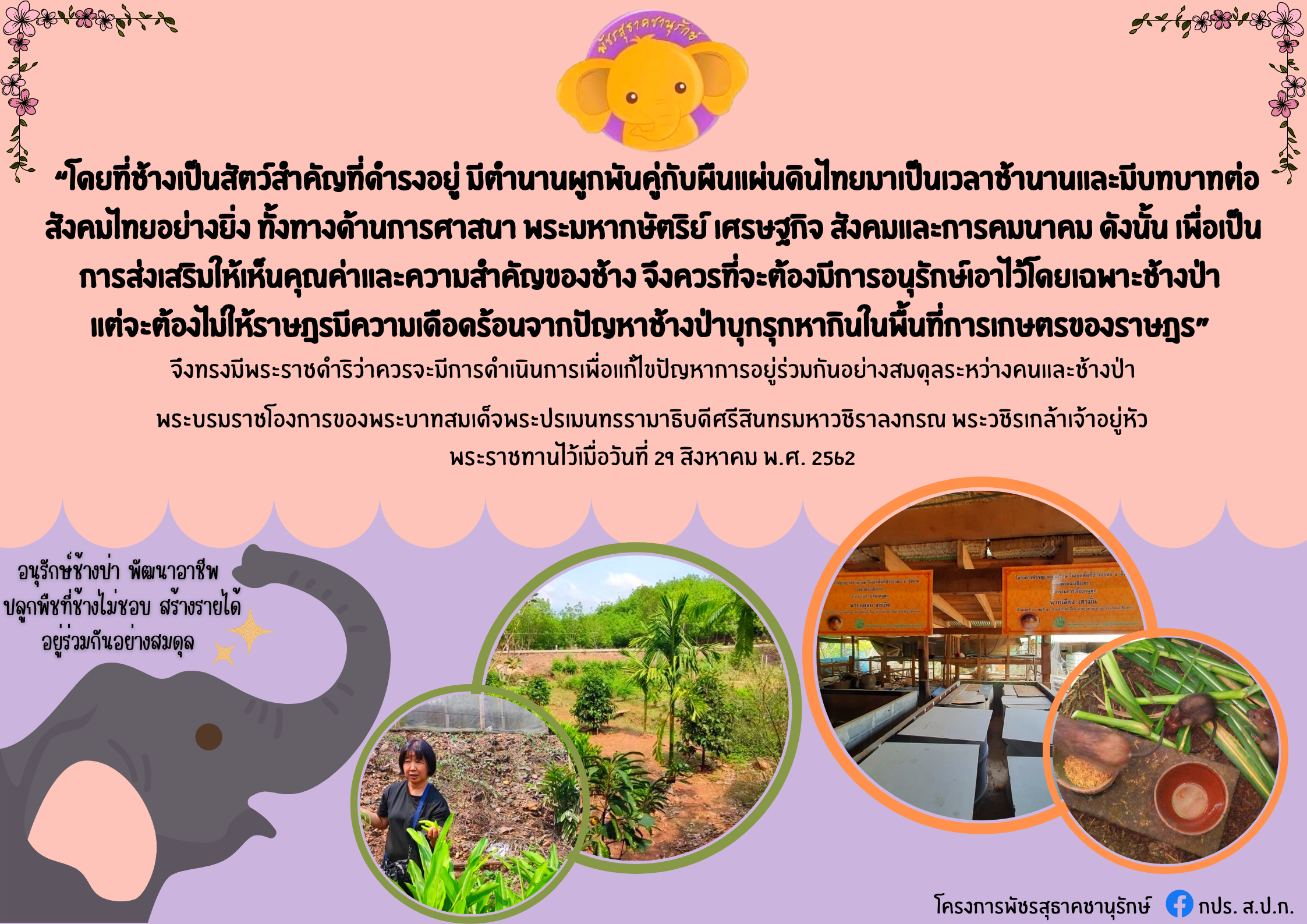 พระราชดำรัส พระบาทสมเด็จพระปรเมนทรรามาธิบดีศรีสินทรมหาวชิราลงกรณ พระวชิรเกล้าเจ้าอยู่หัว โครงการพัชรสุธาคชานุรักษ์ เมื่อวันที่ ๒๙ สิงหาคม พ.ศ.๒๕๖๒