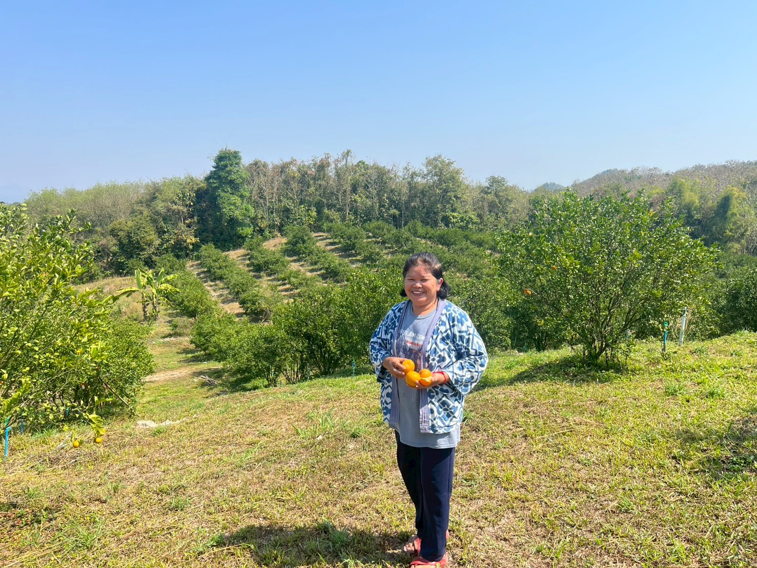 title - กปร. ลงพื้นที่ตรวจเยี่ยมแปลงเกษตรกรตัวอย่างในโครงการอนุรักษ์พันธุกรรมพืชอันเนื่องมาจากพระราชดำริ สำนักงานการปฏิรูปที่ดินเพื่อเกษตรกรรม (อพ.สธ.-ส.ป.ก.) ณ ตำบลทุ่งเเล้ง อำเภอลอง จังหวัดเเพร่ จำนวน 3 ราย
