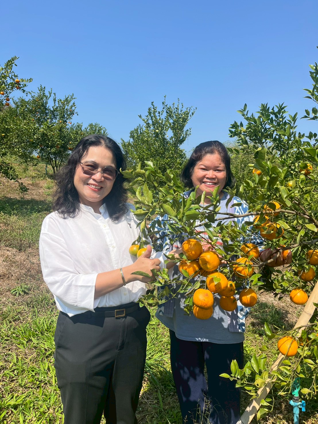 title - กปร. ลงพื้นที่ตรวจเยี่ยมแปลงเกษตรกรตัวอย่างในโครงการอนุรักษ์พันธุกรรมพืชอันเนื่องมาจากพระราชดำริ สำนักงานการปฏิรูปที่ดินเพื่อเกษตรกรรม (อพ.สธ.-ส.ป.ก.) ณ ตำบลทุ่งเเล้ง อำเภอลอง จังหวัดเเพร่ จำนวน 3 ราย