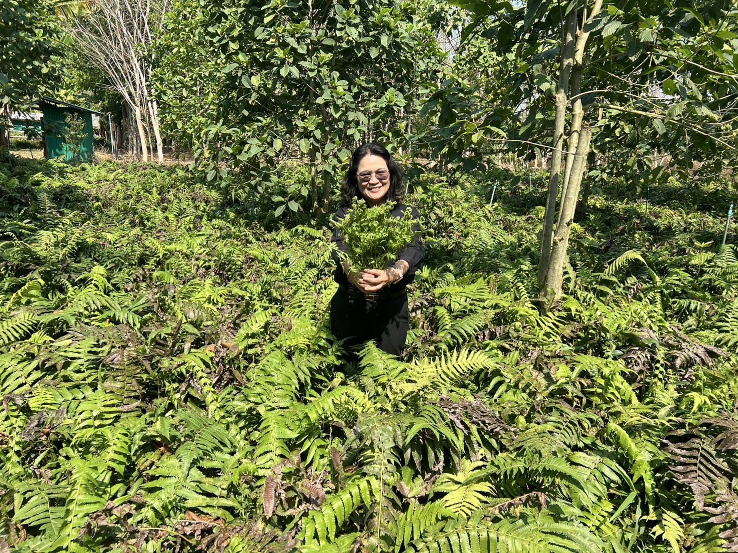 title - กปร. ลงพื้นที่ศึกษาดูงานนวัตกรรมการใช้ประโยชน์จากเห็ดไมคอร์ไรซาในการบริหารจัดการพื้นที่ ณ อำเภอร้องกวางและอำเภอสอง จังหวัดแพร่