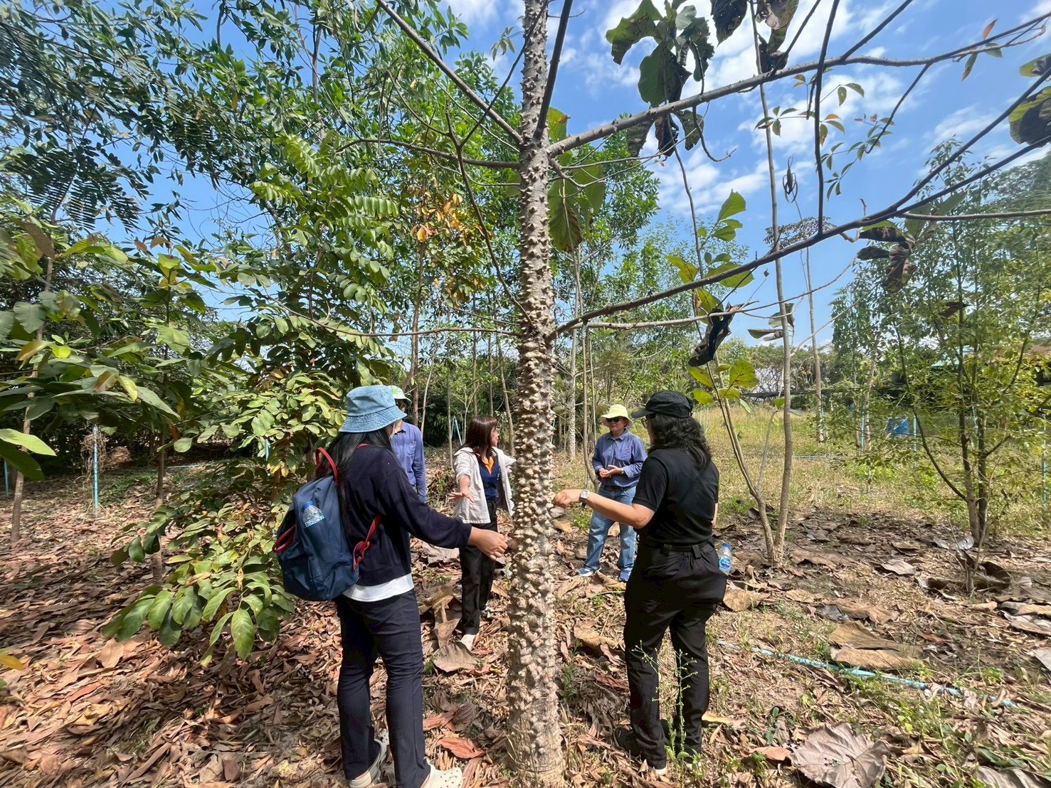 title - กปร. ลงพื้นที่ศึกษาดูงานนวัตกรรมการใช้ประโยชน์จากเห็ดไมคอร์ไรซาในการบริหารจัดการพื้นที่ ณ อำเภอร้องกวางและอำเภอสอง จังหวัดแพร่