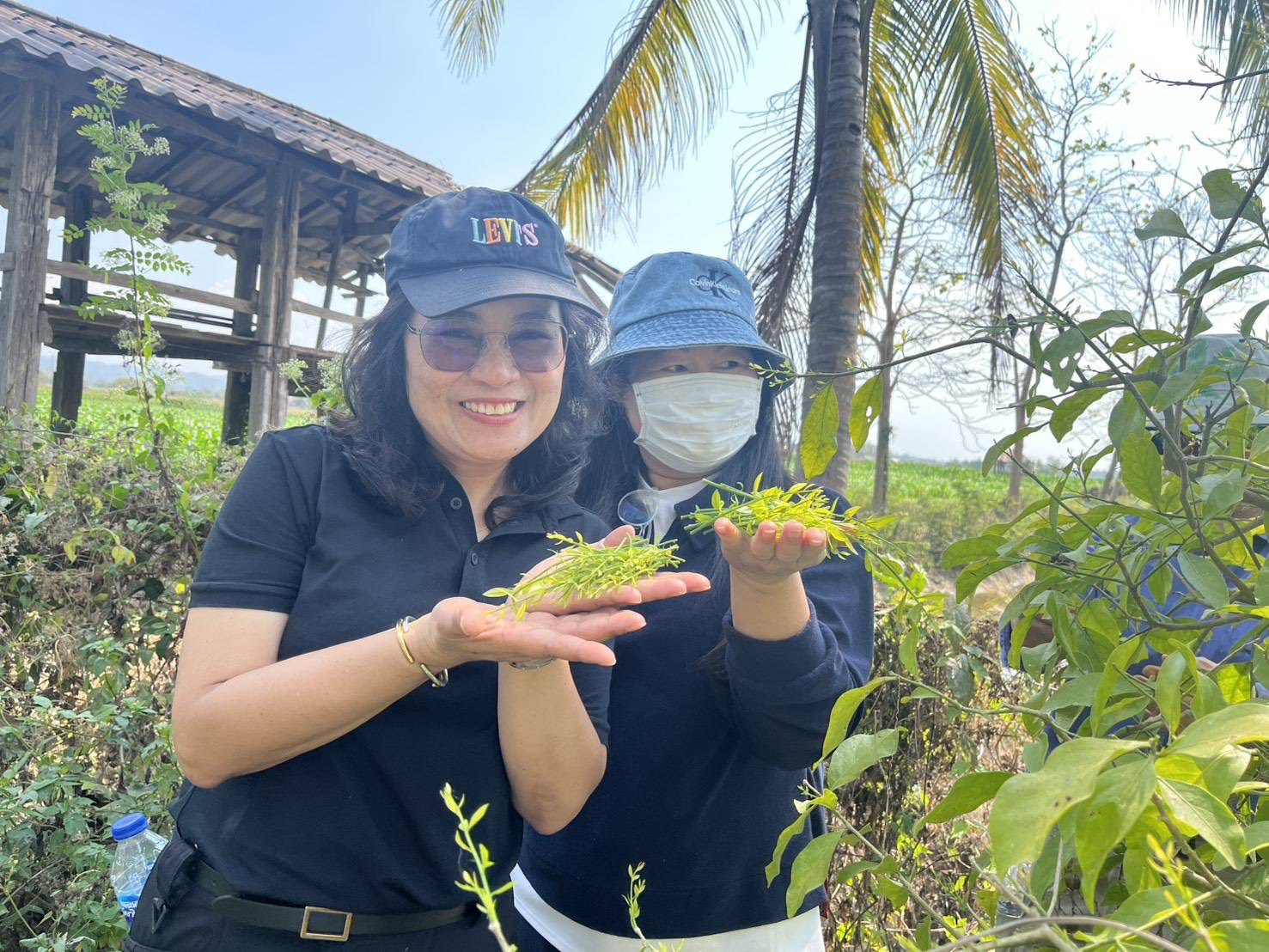 title - กปร. ลงพื้นที่ศึกษาดูงานนวัตกรรมการใช้ประโยชน์จากเห็ดไมคอร์ไรซาในการบริหารจัดการพื้นที่ ณ อำเภอร้องกวางและอำเภอสอง จังหวัดแพร่