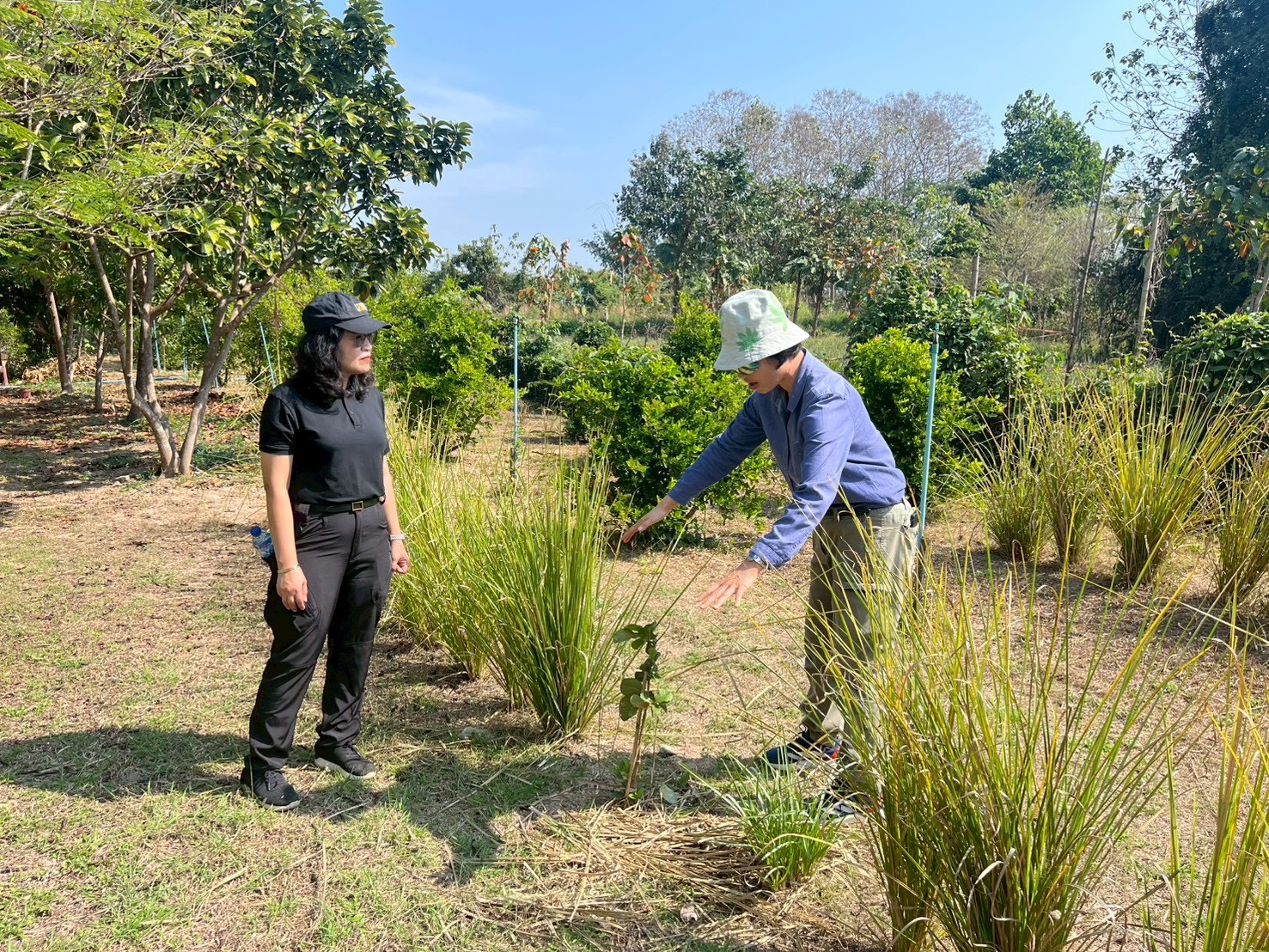 title - กปร. ลงพื้นที่ศึกษาดูงานนวัตกรรมการใช้ประโยชน์จากเห็ดไมคอร์ไรซาในการบริหารจัดการพื้นที่ ณ อำเภอร้องกวางและอำเภอสอง จังหวัดแพร่