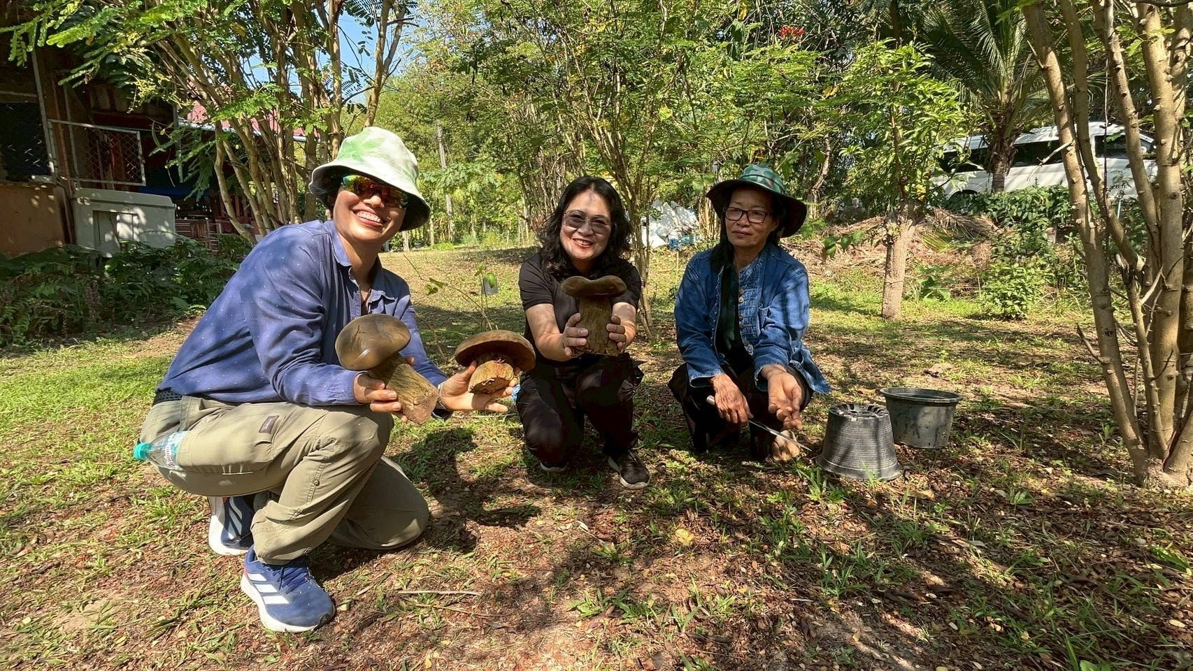 title - กปร. ลงพื้นที่ศึกษาดูงานนวัตกรรมการใช้ประโยชน์จากเห็ดไมคอร์ไรซาในการบริหารจัดการพื้นที่ ณ อำเภอร้องกวางและอำเภอสอง จังหวัดแพร่