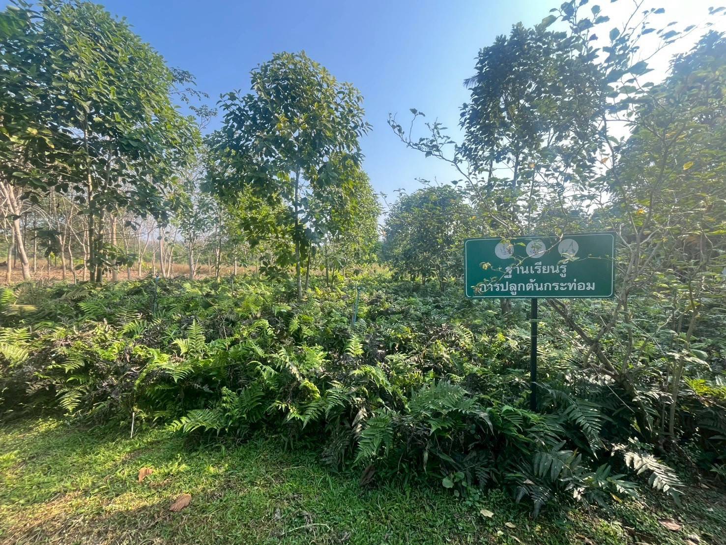 title - กปร. ลงพื้นที่ศึกษาดูงานนวัตกรรมการใช้ประโยชน์จากเห็ดไมคอร์ไรซาในการบริหารจัดการพื้นที่ ณ อำเภอร้องกวางและอำเภอสอง จังหวัดแพร่