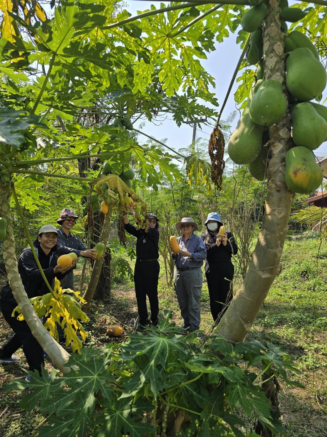 title - กปร. ลงพื้นที่ศึกษาดูงานนวัตกรรมการใช้ประโยชน์จากเห็ดไมคอร์ไรซาในการบริหารจัดการพื้นที่ ณ อำเภอร้องกวางและอำเภอสอง จังหวัดแพร่