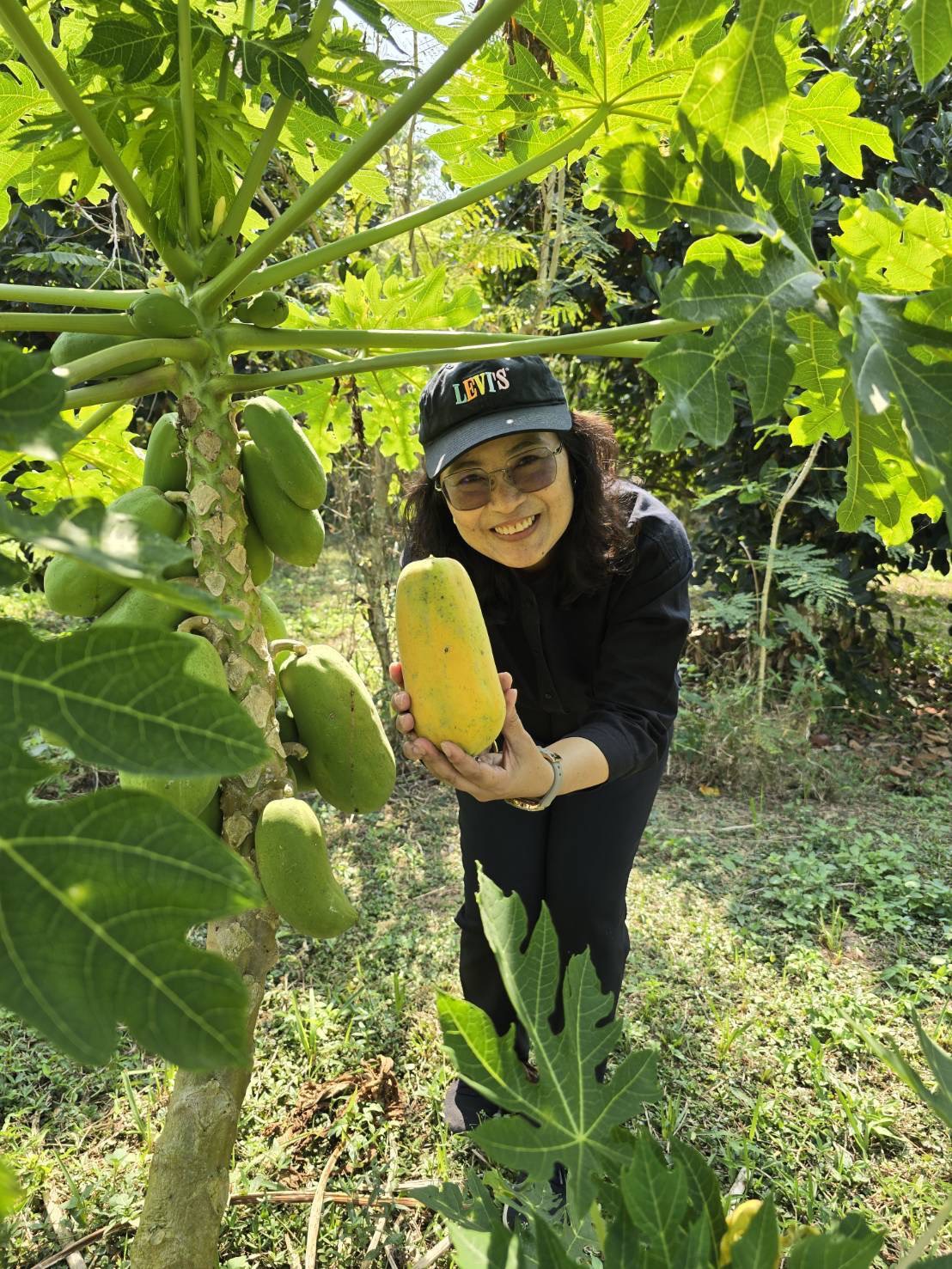 title - กปร. ลงพื้นที่ศึกษาดูงานนวัตกรรมการใช้ประโยชน์จากเห็ดไมคอร์ไรซาในการบริหารจัดการพื้นที่ ณ อำเภอร้องกวางและอำเภอสอง จังหวัดแพร่