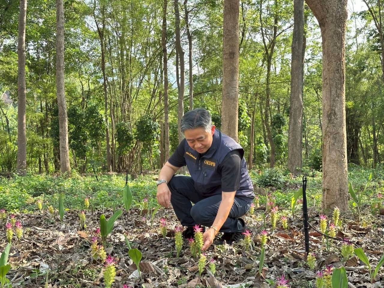 title - ส.ป.ก. ประชุมรับฟังการดำเนินงานและชี้แจงการประเมินผลโครงการพัฒนาพื้นที่ลุ่มน้ำแม่อาวอันเนื่องมาจากพระราชดำริ จังหวัดลำพูน