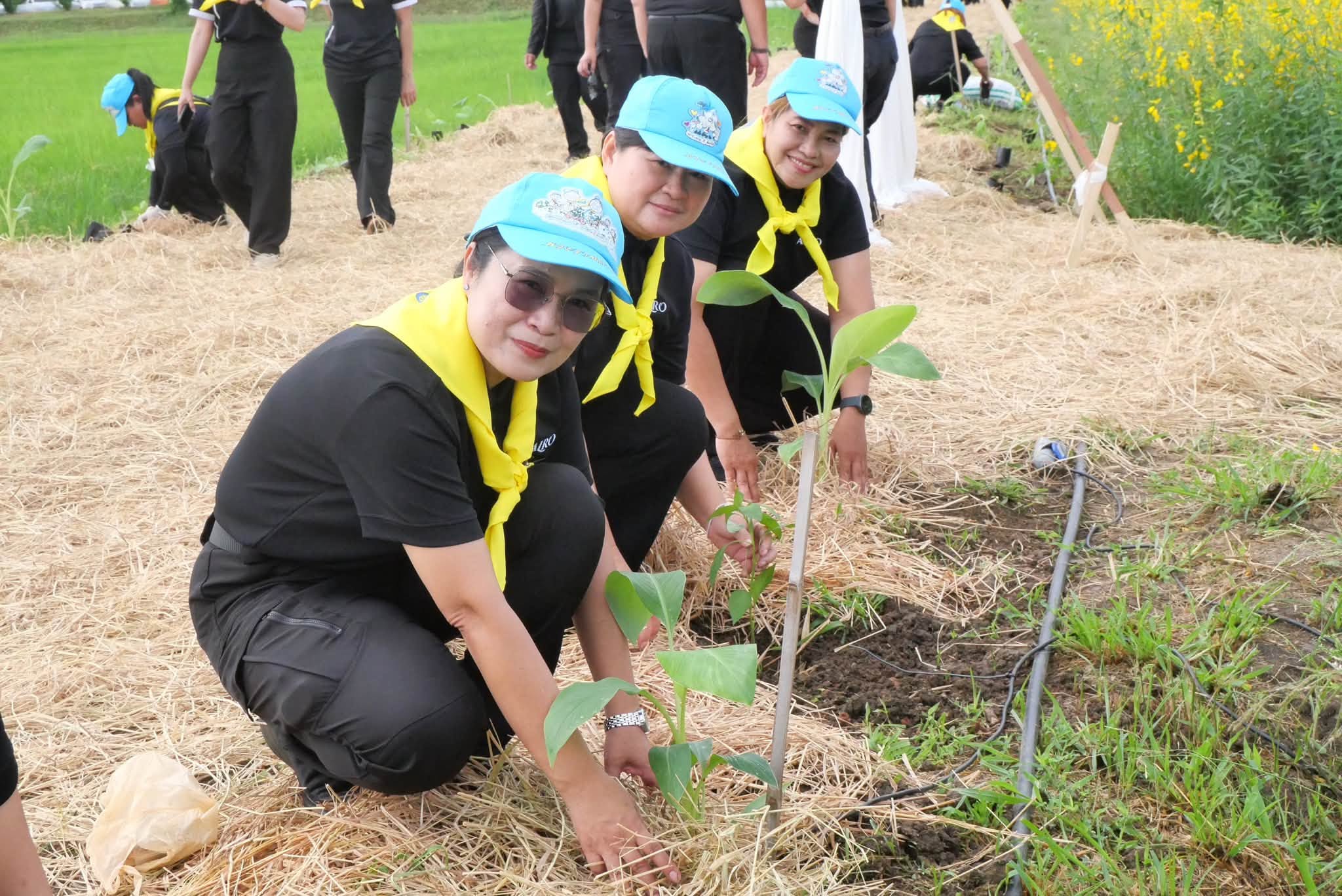 title - กปร. ร่วมโครงการจิตอาสาพัฒนาด้านการเกษตรกระทรวงเกษตรและสหกรณ์ เนื่องในวันคล้ายวันพระราชสมภพ สมเด็จพระนางเจ้าสิริกิติ์ พระบรมราชินีนาถ พระบรมราชชนนีพันปีหลวง และวันแม่แห่งชาติ 12 สิงหาคม 2569