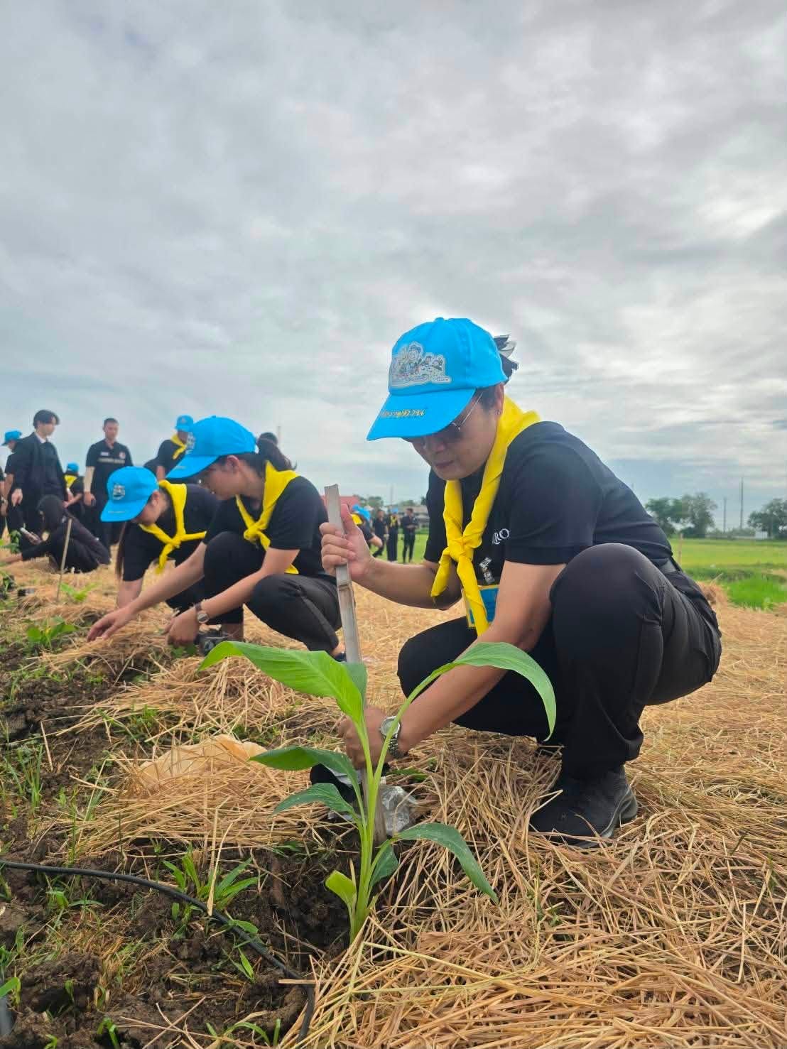 title - กปร. ร่วมโครงการจิตอาสาพัฒนาด้านการเกษตรกระทรวงเกษตรและสหกรณ์ เนื่องในวันคล้ายวันพระราชสมภพ สมเด็จพระนางเจ้าสิริกิติ์ พระบรมราชินีนาถ พระบรมราชชนนีพันปีหลวง และวันแม่แห่งชาติ 12 สิงหาคม 2569