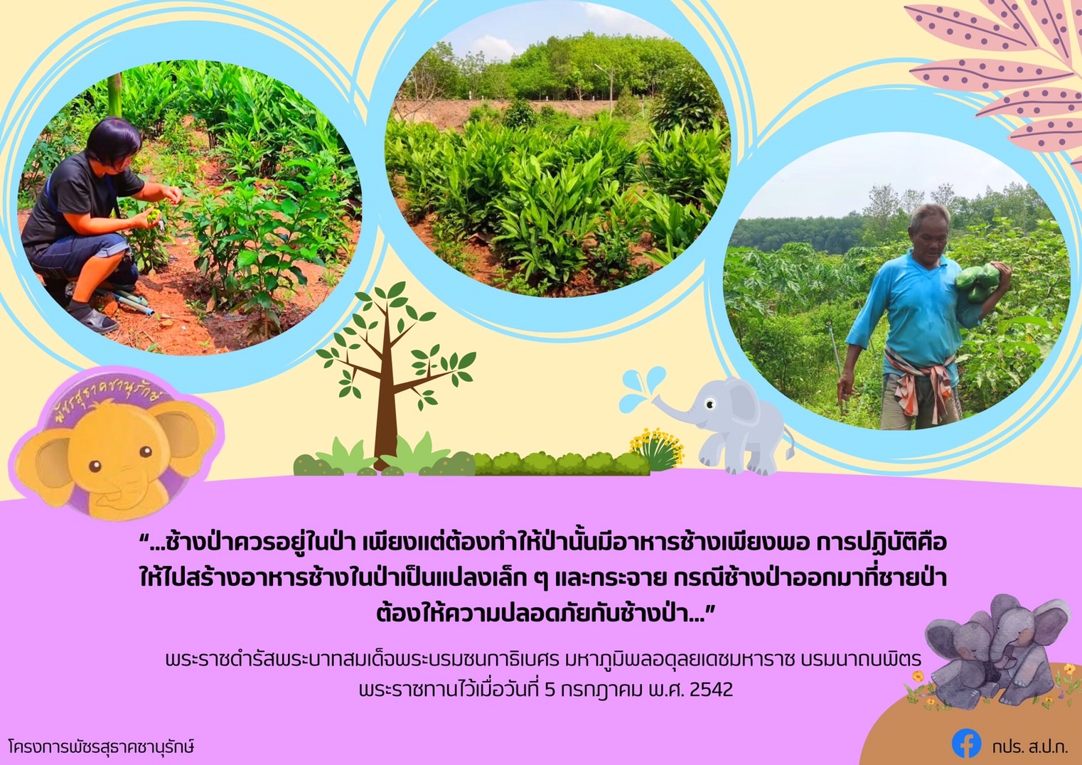 พระราชดำรัสพระบาทสมเด็จพระบรมชนกาธิเบศร มหาภูมิพลอดุลยเดชมหาราช บรมนาถบพิตร โครงการพัชรสุธาคชานุรักษ์ เมื่อวันที่ ๕ กรกฎาคม พ.ศ.๒๕๔๒