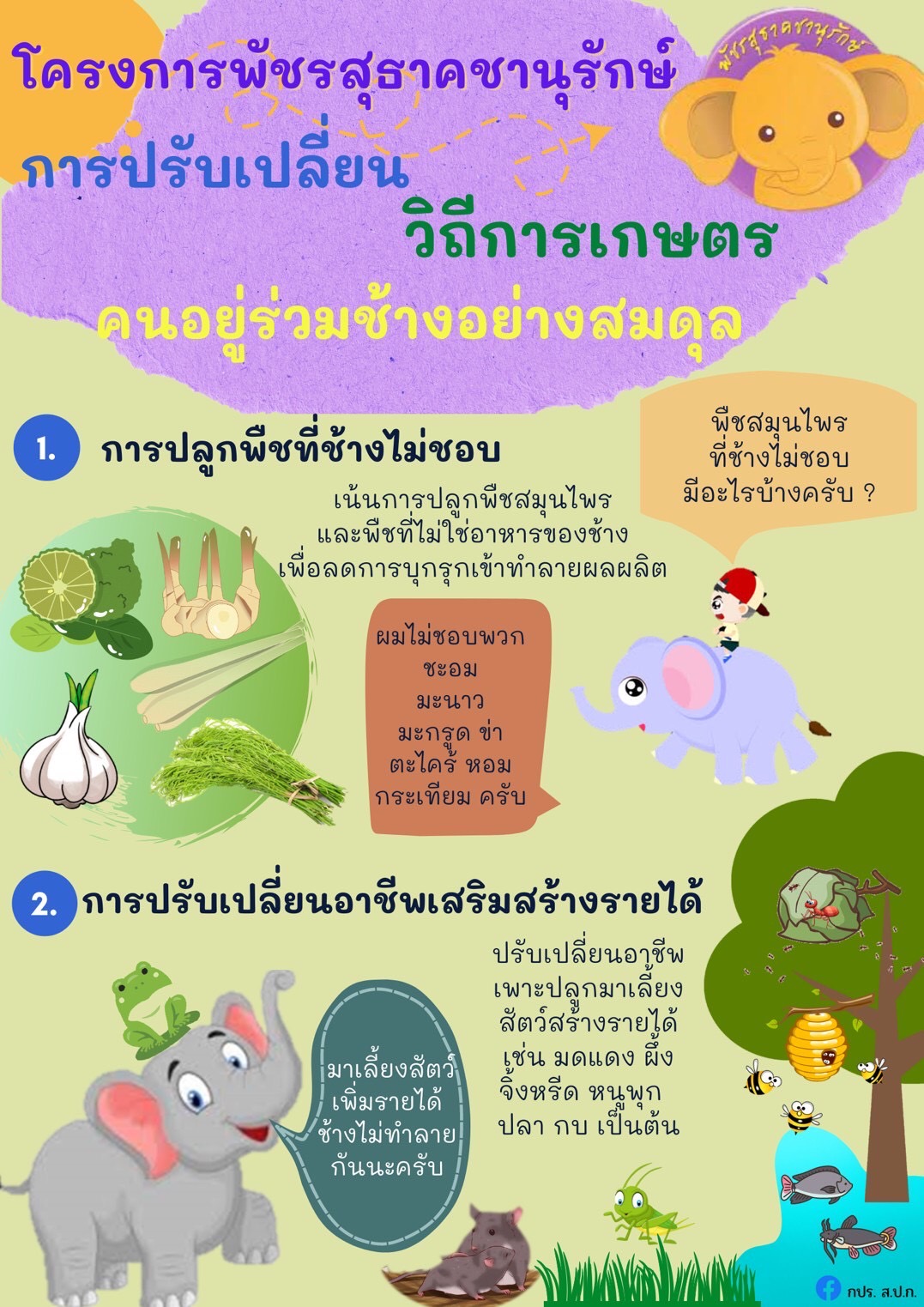การปรับเปลี่ยนวิถีเกษตร  คนอยู่ร่วมกับช้างอย่างสมดุล โครงการพัชรสุธาคชานุรักษ์