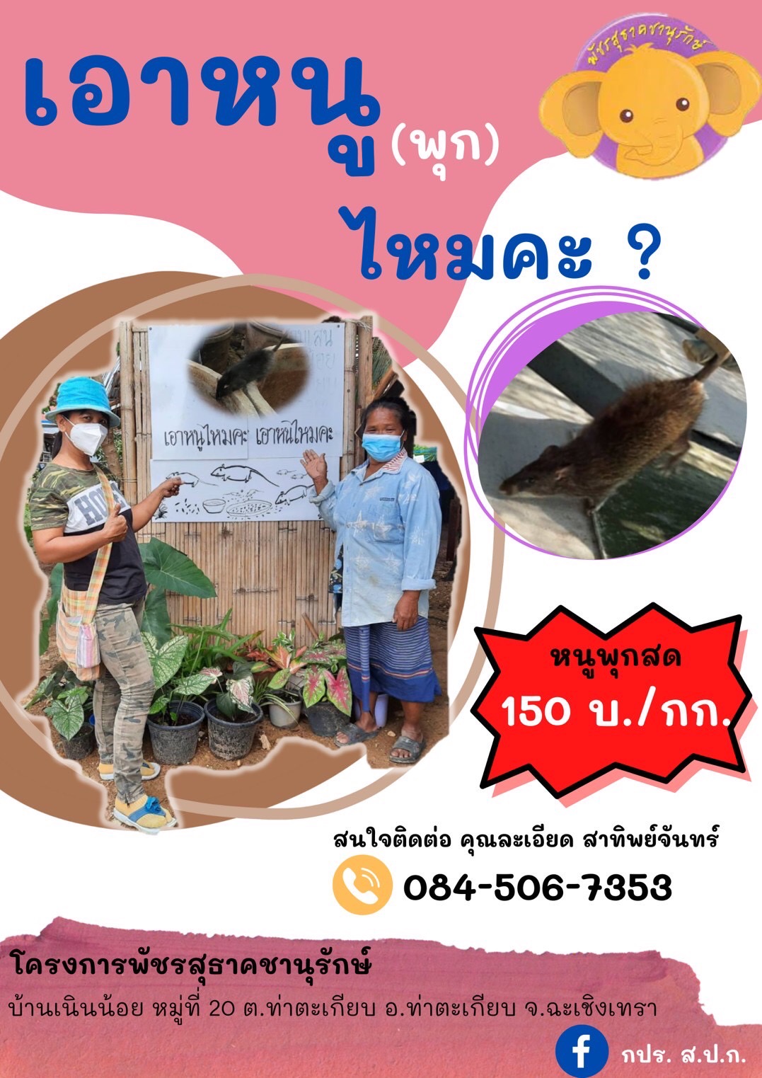 หนูพุก ผลผลิตโครงการพัชรสุธาคชานุรักษ์