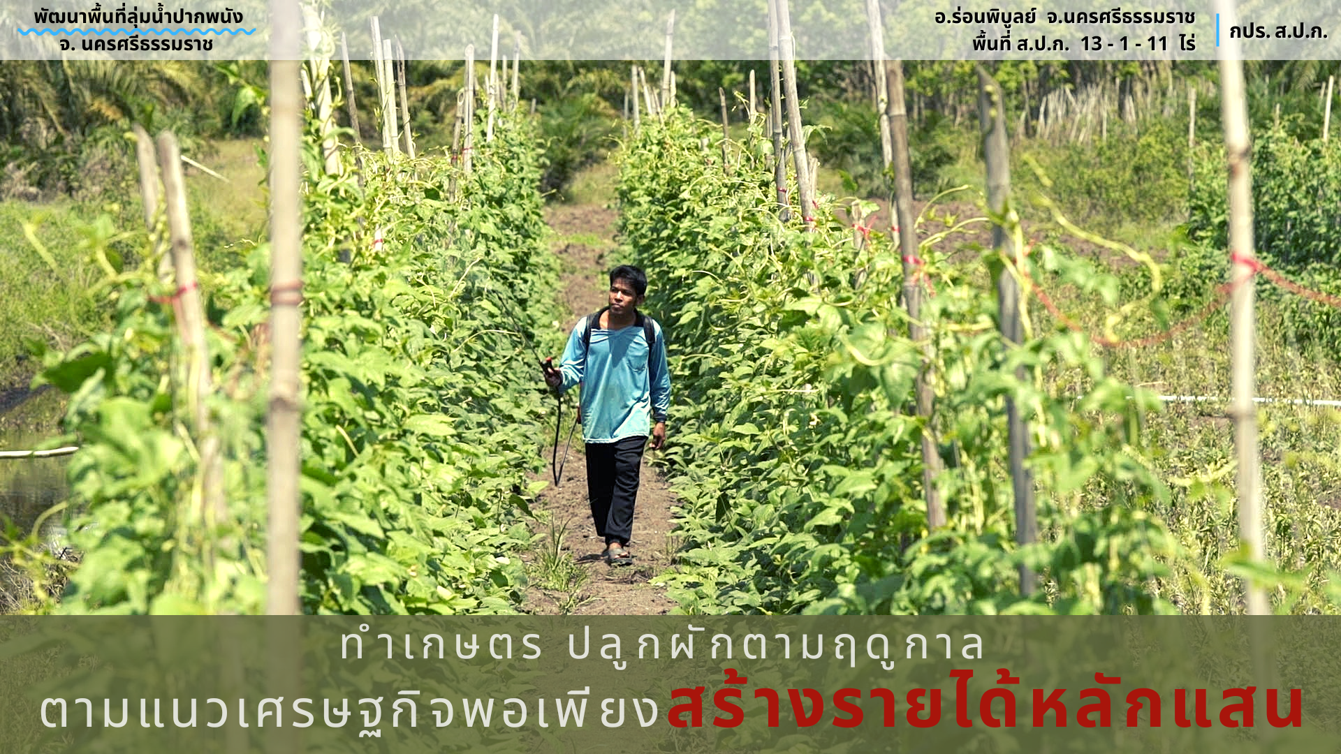 โครงการพัฒนาพื้นที่ลุ่มน้ำปากพนังอันเนื่องมาจากพระราชดำริ จังหวัดนครศรีธรรมราช 2568 