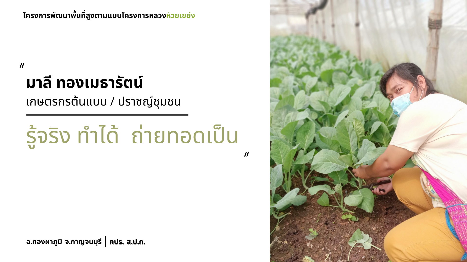โครงการพัฒนาพื้นที่สูงแบบโครงการหลวง ตำบลห้วยเขย่ง อำเภอทองผาภูมิ จังหวัดกาญจนบุรี 