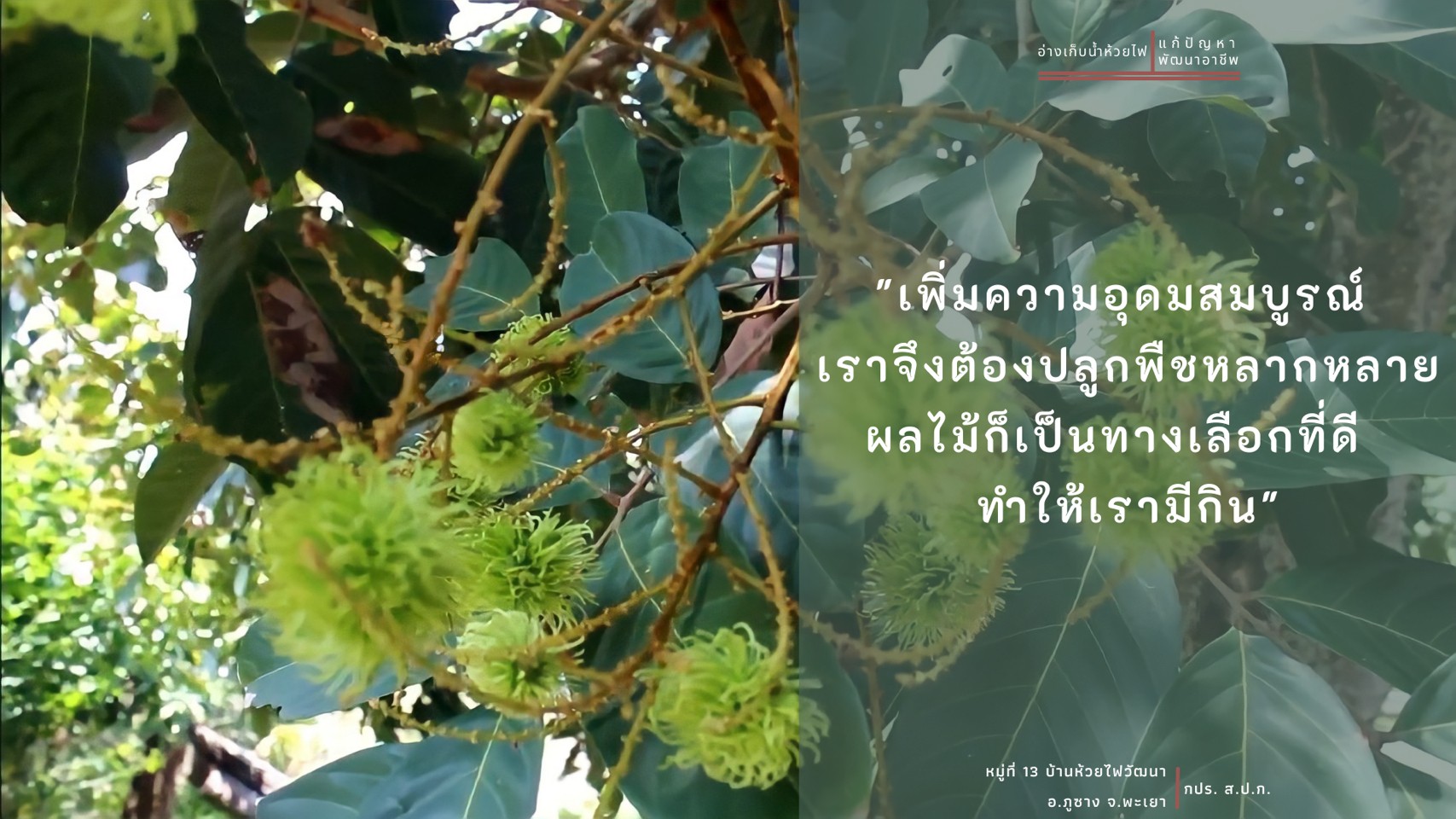 โครงการศูนย์เรียนรู้การพัฒนาเกษตรอ่างเก็บน้ำห้วยไฟอันเนื่องมาจากพระราชดำริ จังหวัดพะเยา 