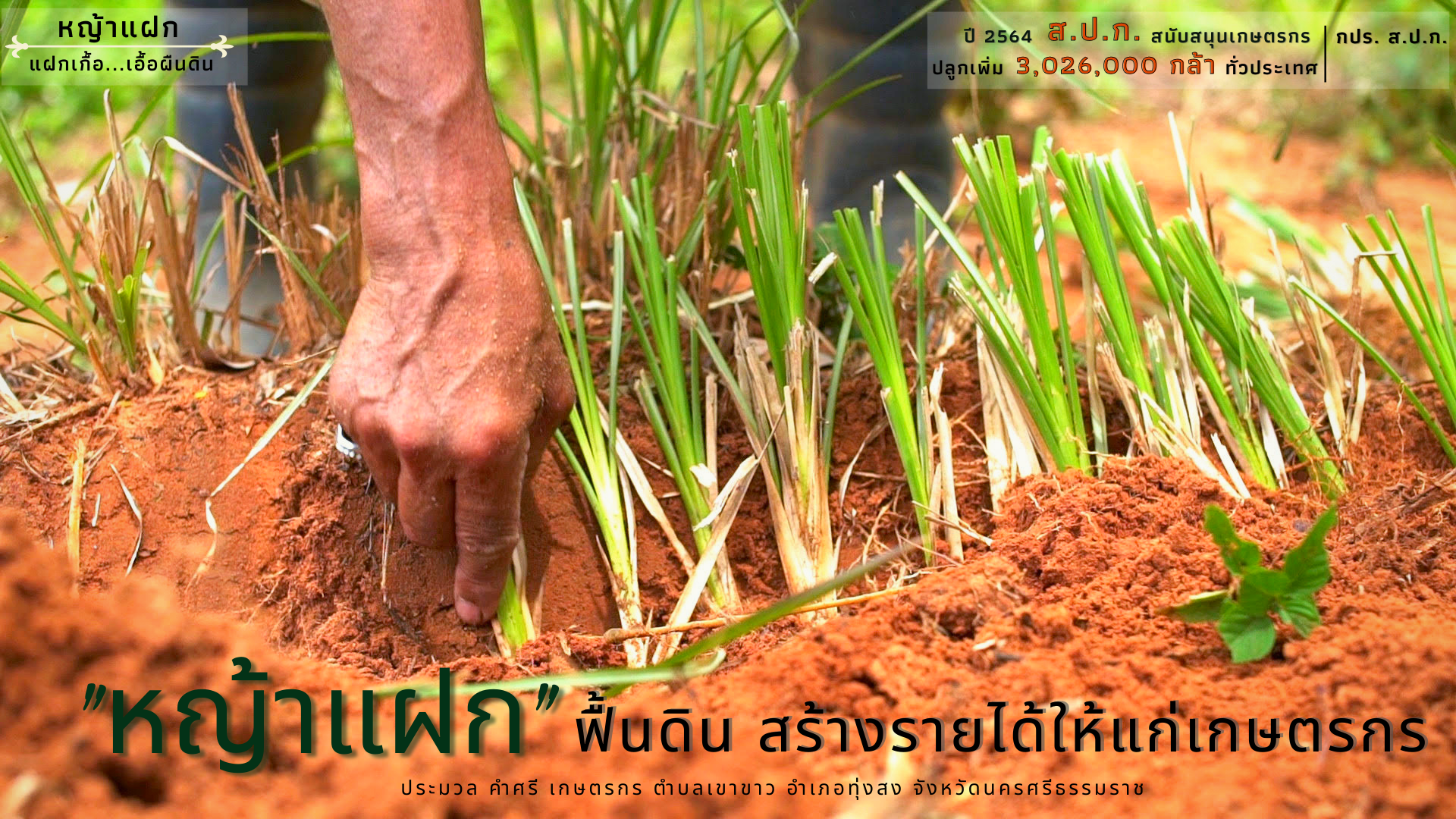 โครงการพัฒนาและรณรงค์การใช้หญ้าแฝกอันเนื่องมาจากพระราชดำริ 