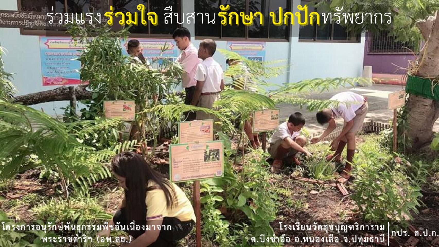 โครงการอนุรักษ์พันธุกรรมพืชอันเนื่องมาจากพระราชดำริ สมเด็จพระเทพรัตนราชสุดาฯ สยามบรมราชกุมารี (อพ.สธ.)