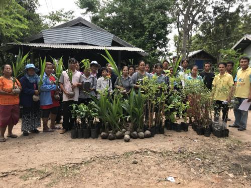 โครงการปลูกไม้เศรษฐกิจเพื่อฟื้นฟูสภาพแวดล้อมในเขตปฏิรูปที่ดิน ประจำปีงบประมาณ  2561