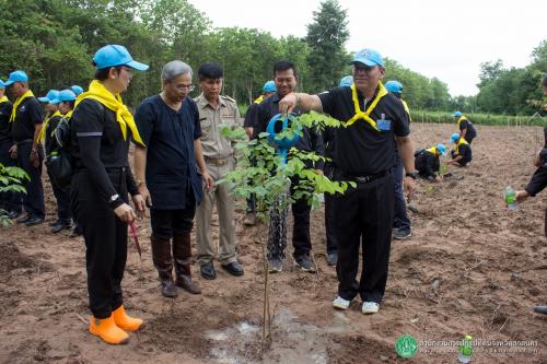 จัด “กิจกรรมการปลูกป่าเฉลิมพระเกียรติเนื่องในโอกาสมหามงคลพระราชพิธีบรมราชาภิเษก” ประจำปีงบประมาณ ๒๕๖๒