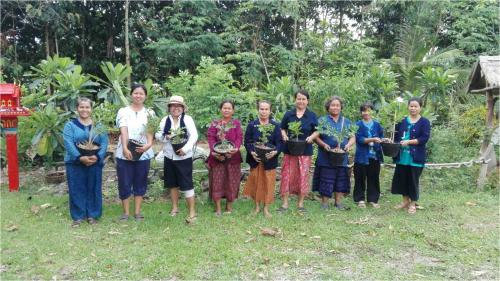 ภาพกิจกรรมการจัดกิจกรรมวันต้นไม้ประจำปีของชาติ พ.ศ. 2560