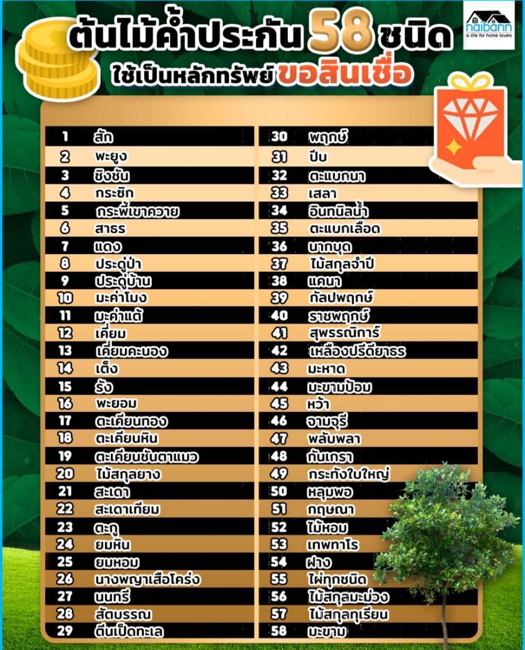 title - สำนักงานการปฏิรูปที่ดินจังหวัดสระบุรี (ส.ป.ก.สระบุรี) ประชาสัมพันธ์ #โฉนดต้นไม้ สำหรับเกษตรกรในเขตปฏิรูปที่ดิน เปิดรับคำขอ #แจ้งขอขึ้นทะเบียนโฉนดต้นไม้